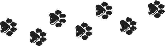 dog paws